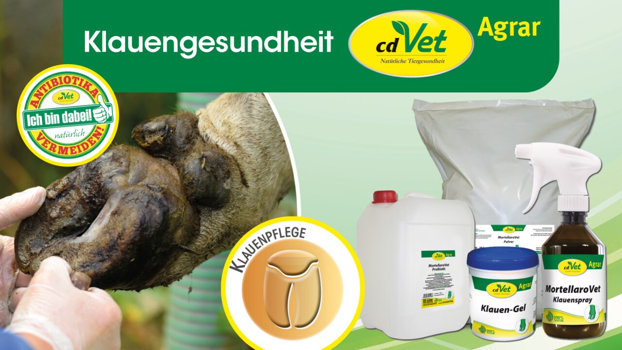 Natürliche Klauengesundheit! cdVet Naturprodukte GmbH