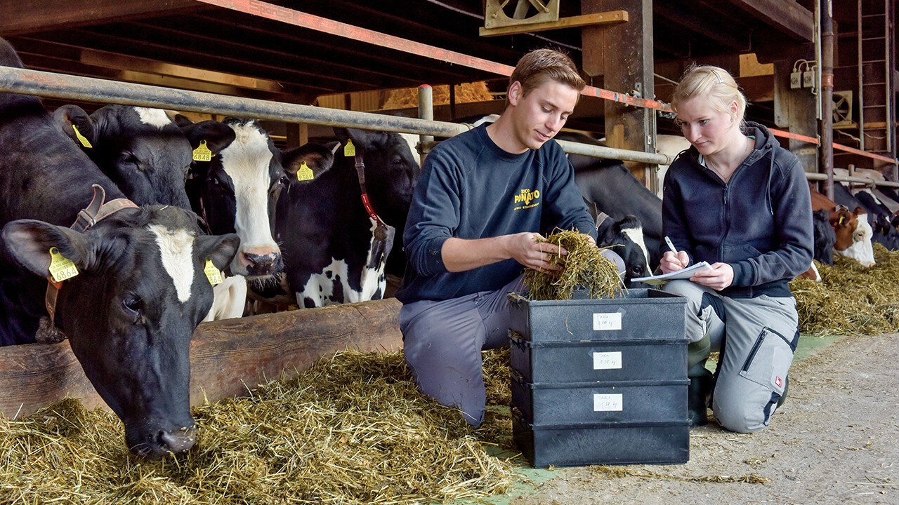 Agronomie studieren? Natürlich an der BFH-HAFL!