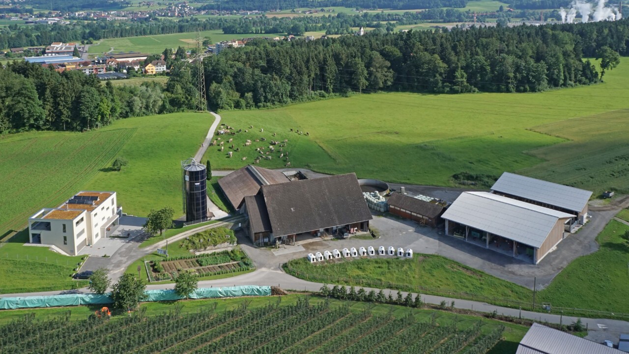 Betriebsbild Familie Zemp, Buchrain aus der Vogelperspektive.