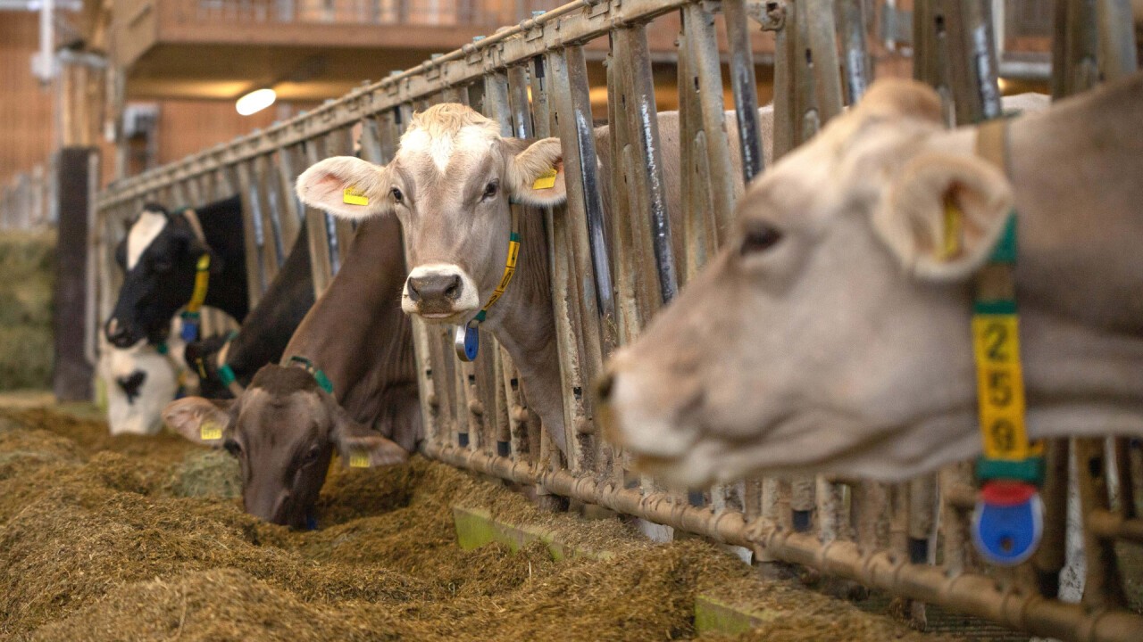 Der Strickhof bietet Unterstützung bei allen Fragen der Tierhaltung.