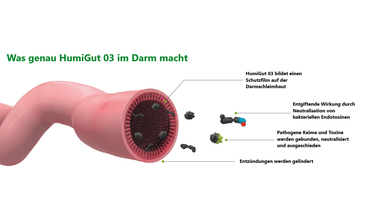 Wirkungsweise HumiGut 03®