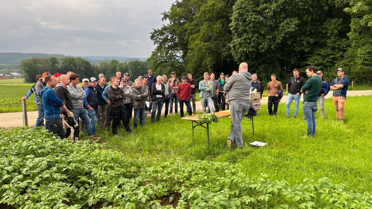 Flurbegehung mit interessierten Kartoffelproduzentinnen und -produzenten.