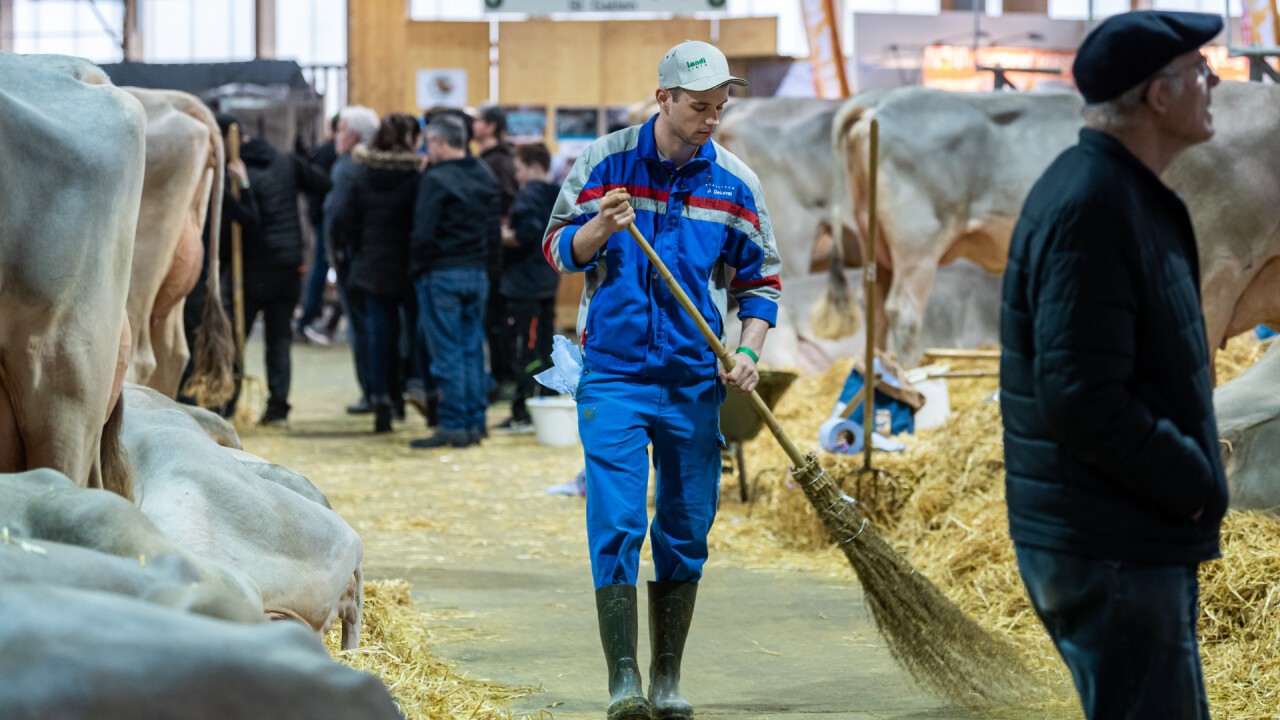 Impressionen der Tier&Technik 2023 (©Reto Martin)