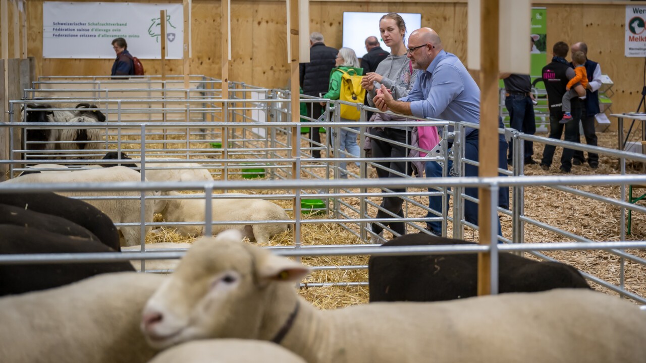 Tier Ausstellungen sorgten für grosses Interesse.