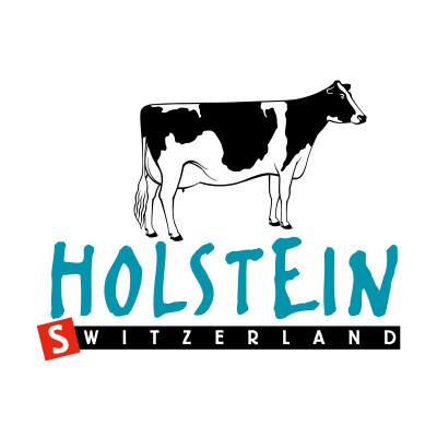 Holstein Switzerland