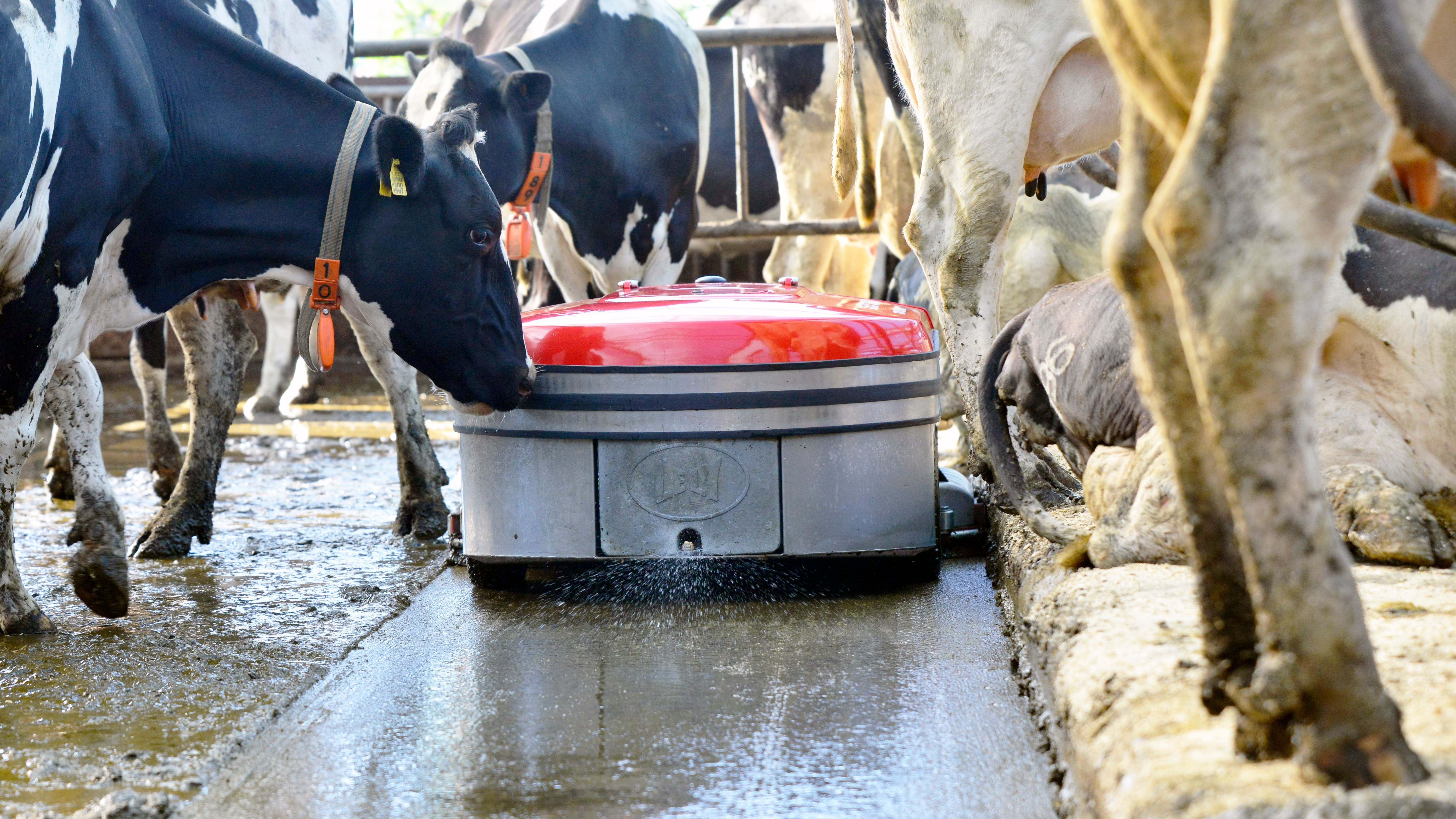 Lely Discovery Collector