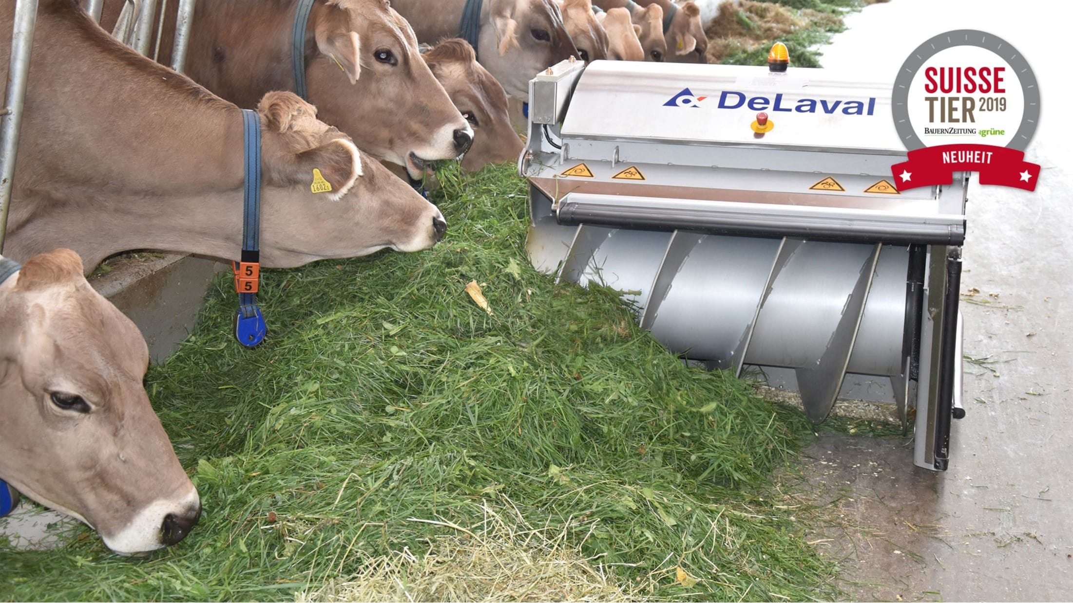 Der DeLaval OptiDuo™ schiebt auch problemlos Heu und Gras zu