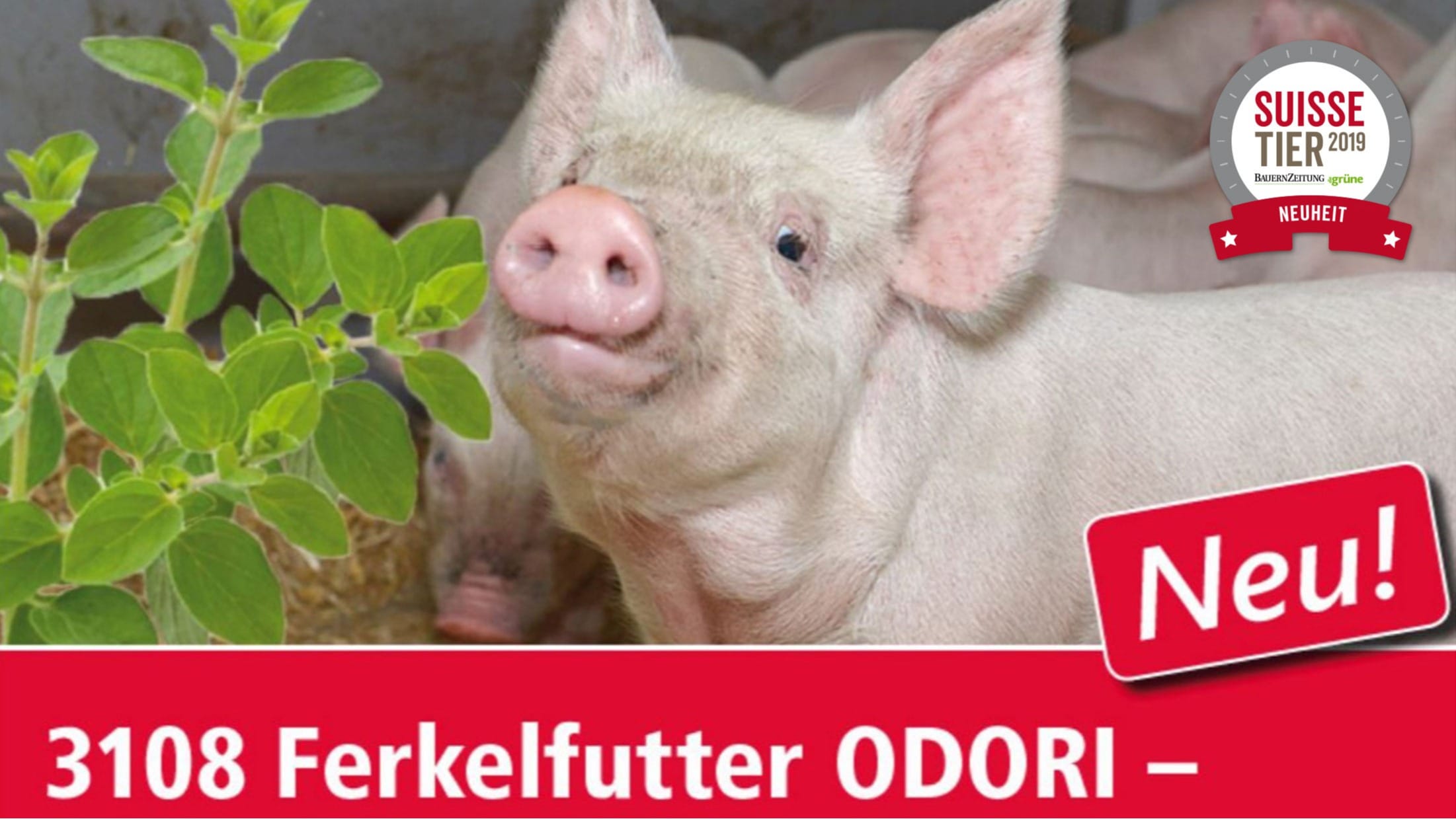 melior 3108 Ferkelfutter ODORI: Mit Vollgas durch die heikle Phase