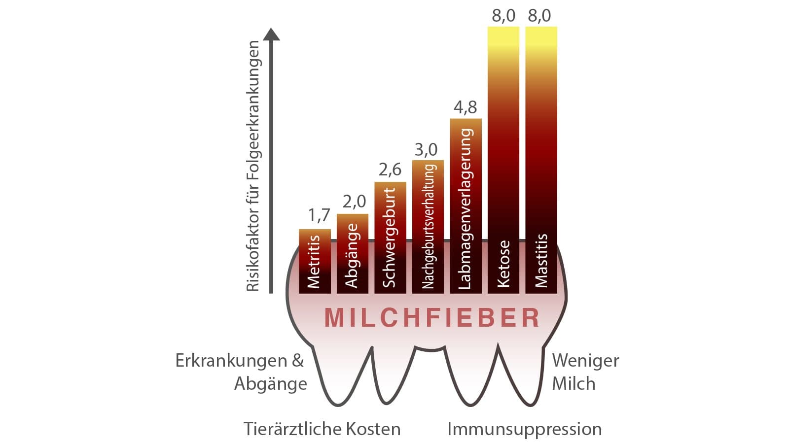 Der Abfall des Calciumspiegels im Blut hat große Auswirkungen auf den Stoffwechsel der Tiere.