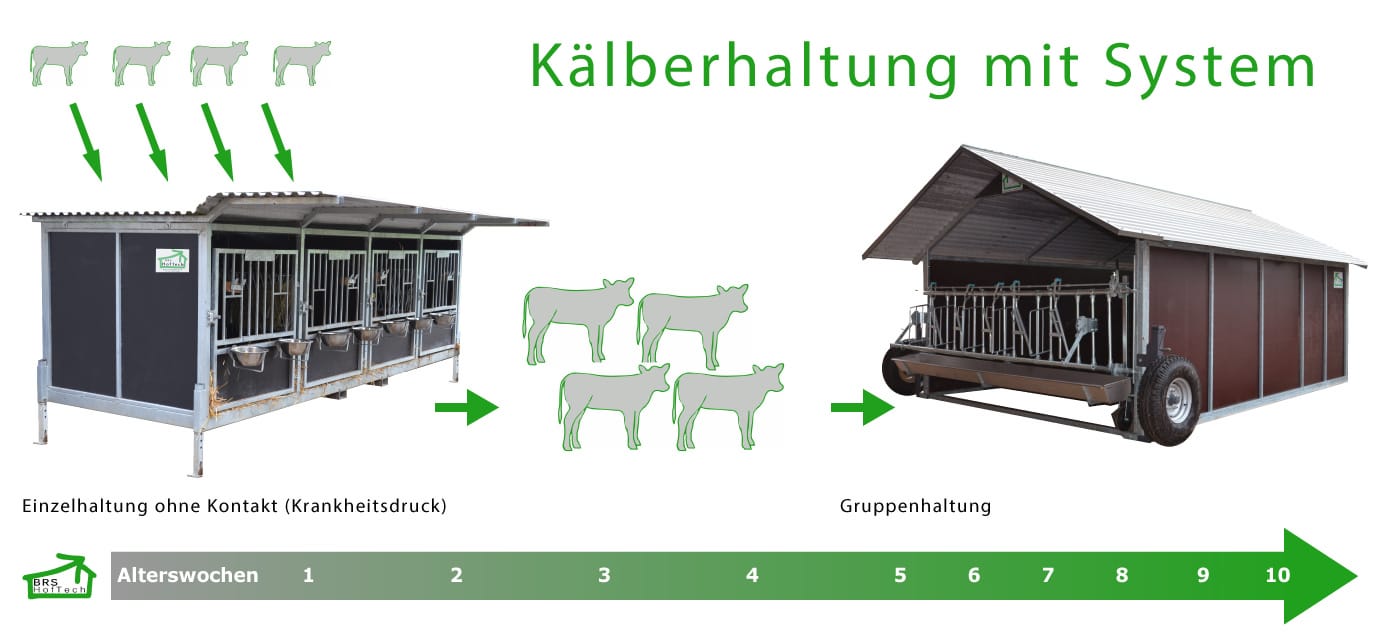 Kälber im System halten - Gesund und einfach!