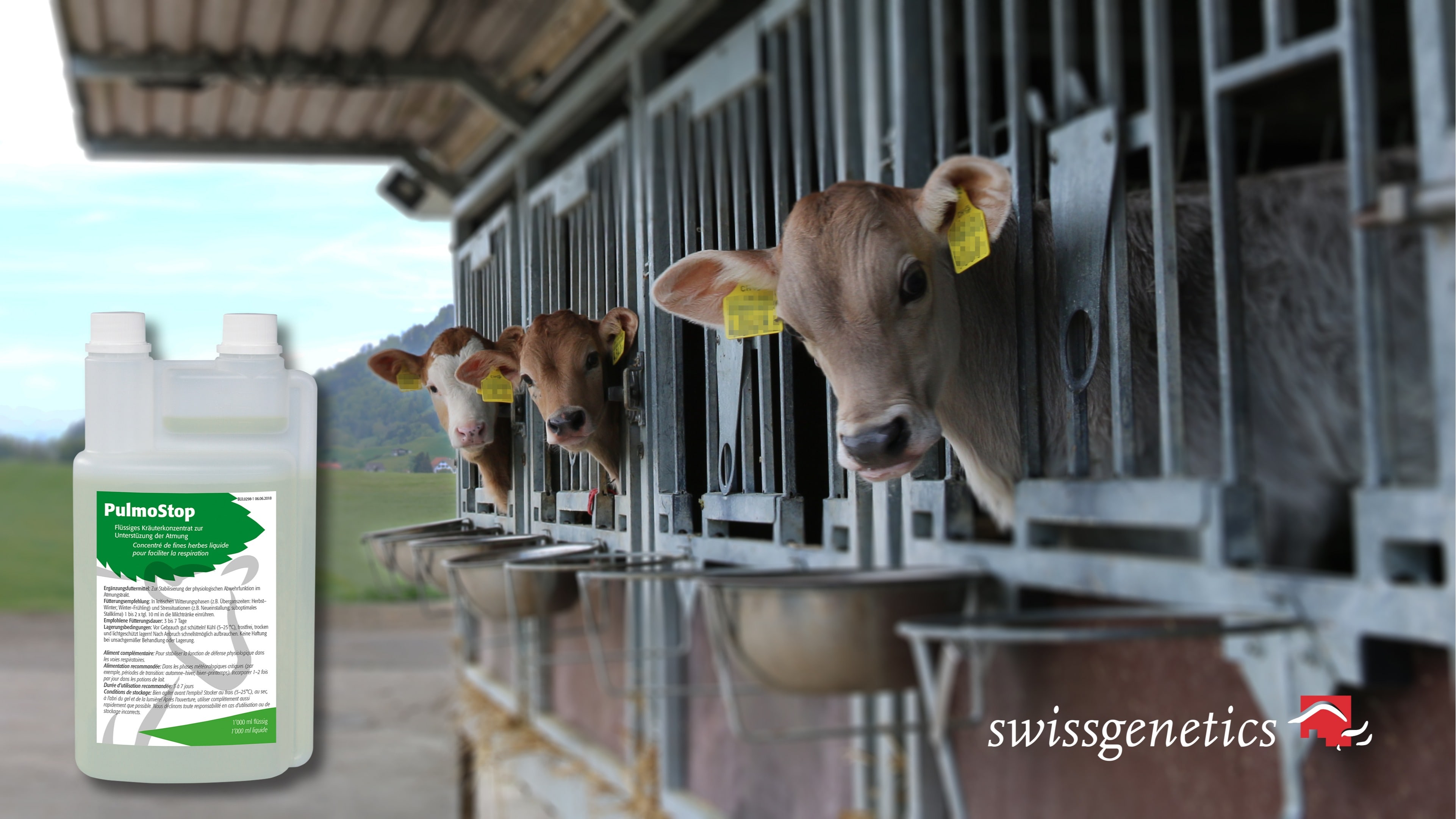 PulmoStop: Zur Unterstützung der Atmung