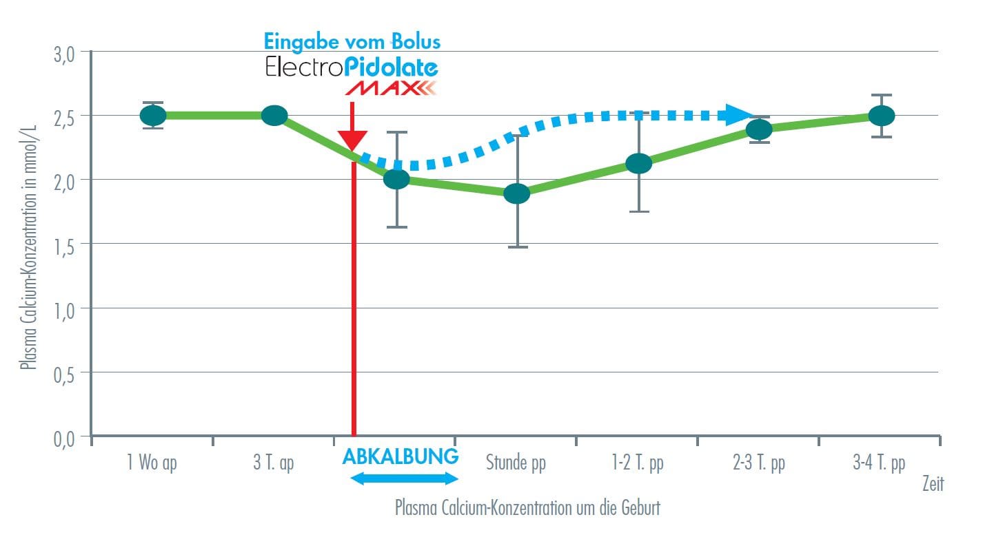 Pidolat verringert das physiologische Absinken des Blutcalciums um die
Abkalbung