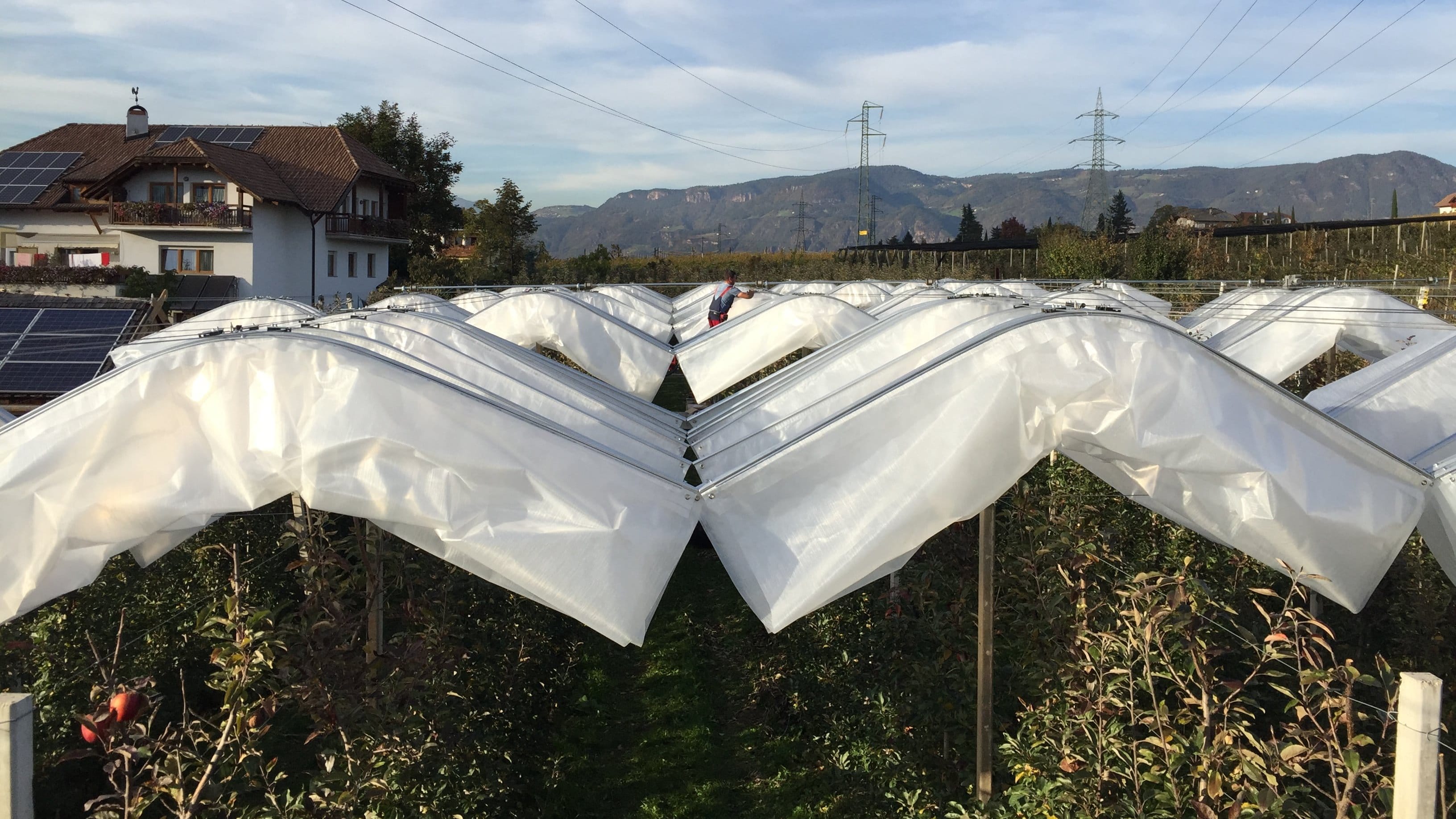 Lock EazyTop Obstüberdachungs-Anlage in Südtirol