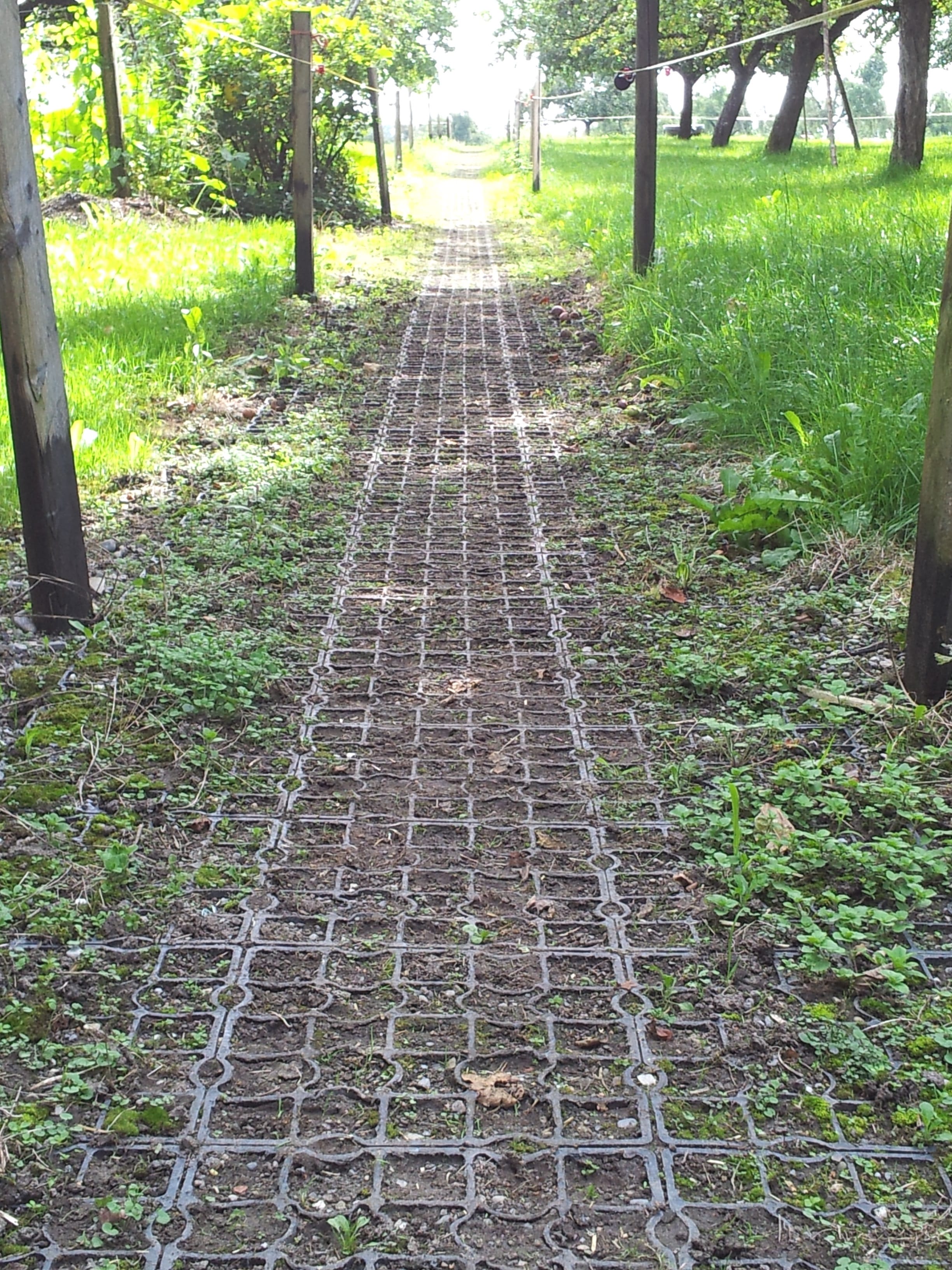 Stark beanspruchte Flächen wie Weideeingänge - ohne Matsch - dank Ecoraster