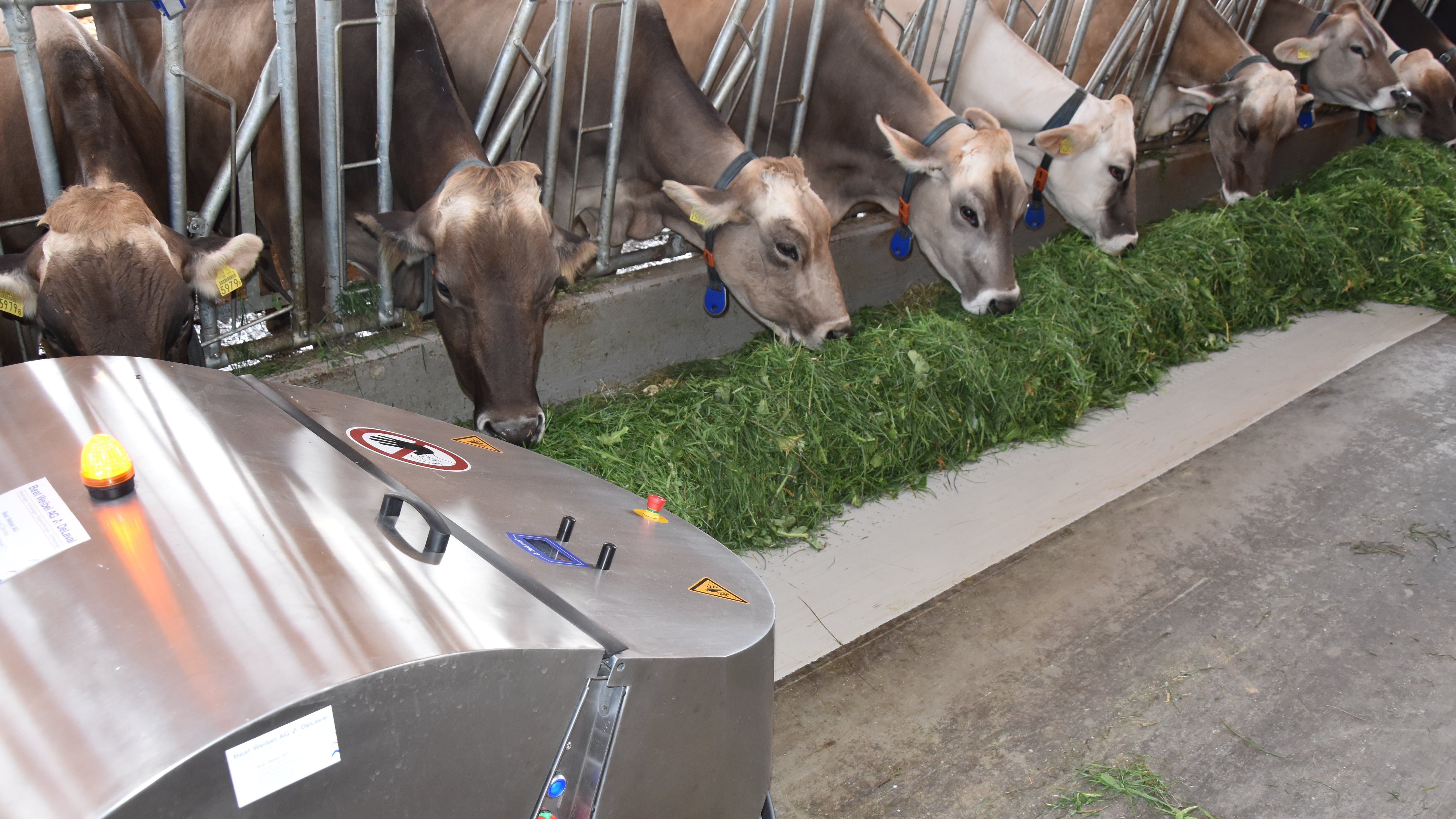 Der DeLaval OptiDuo™ arbeitet sauber und zuverlässig