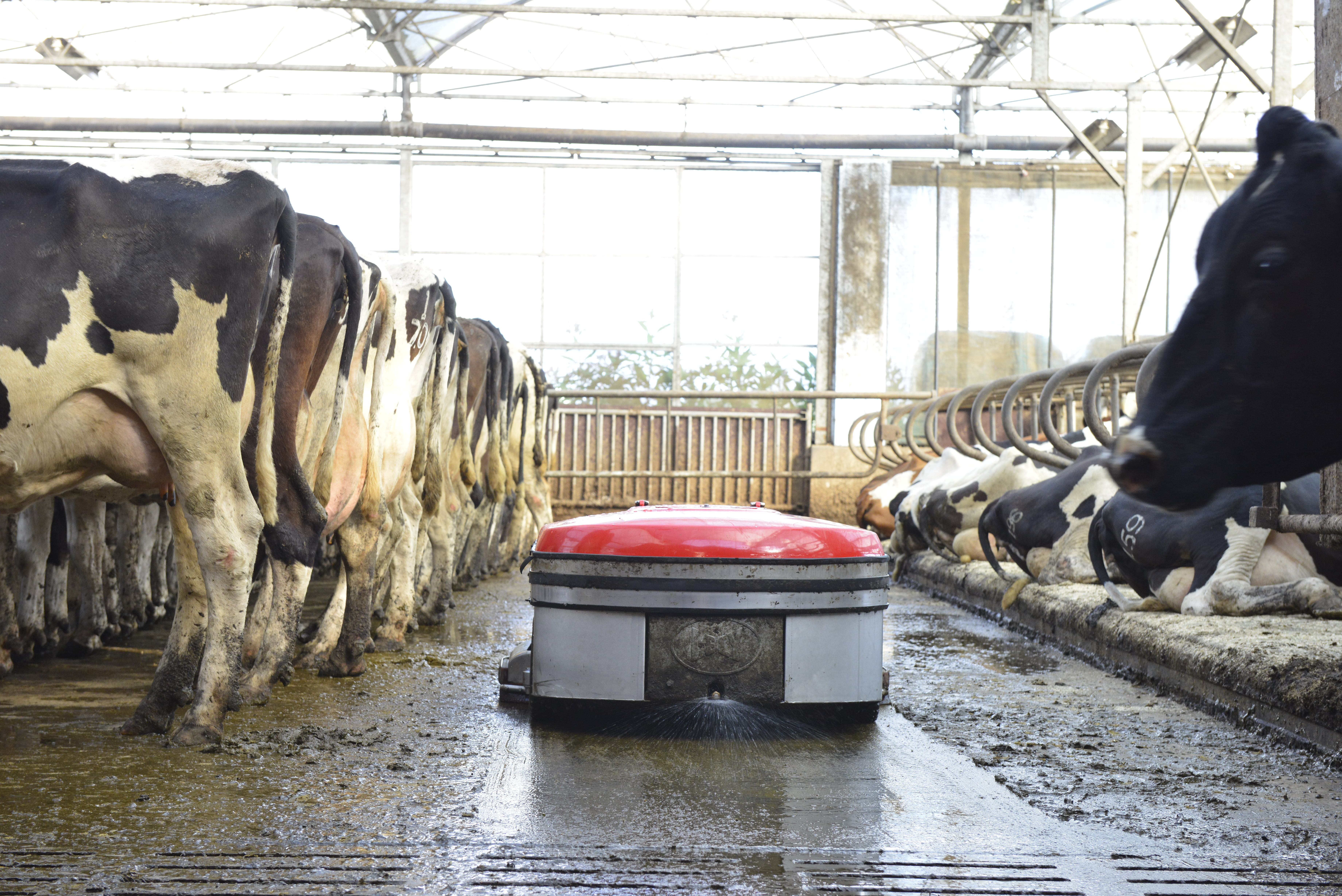 Lely Discovery Collector