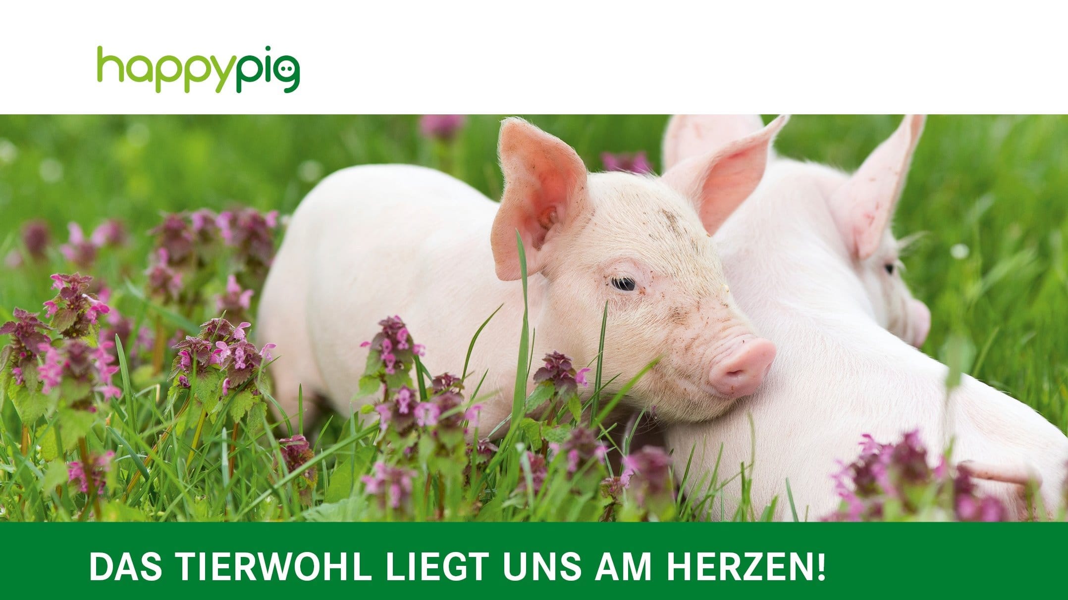 HappyPig® Produkteprogramm