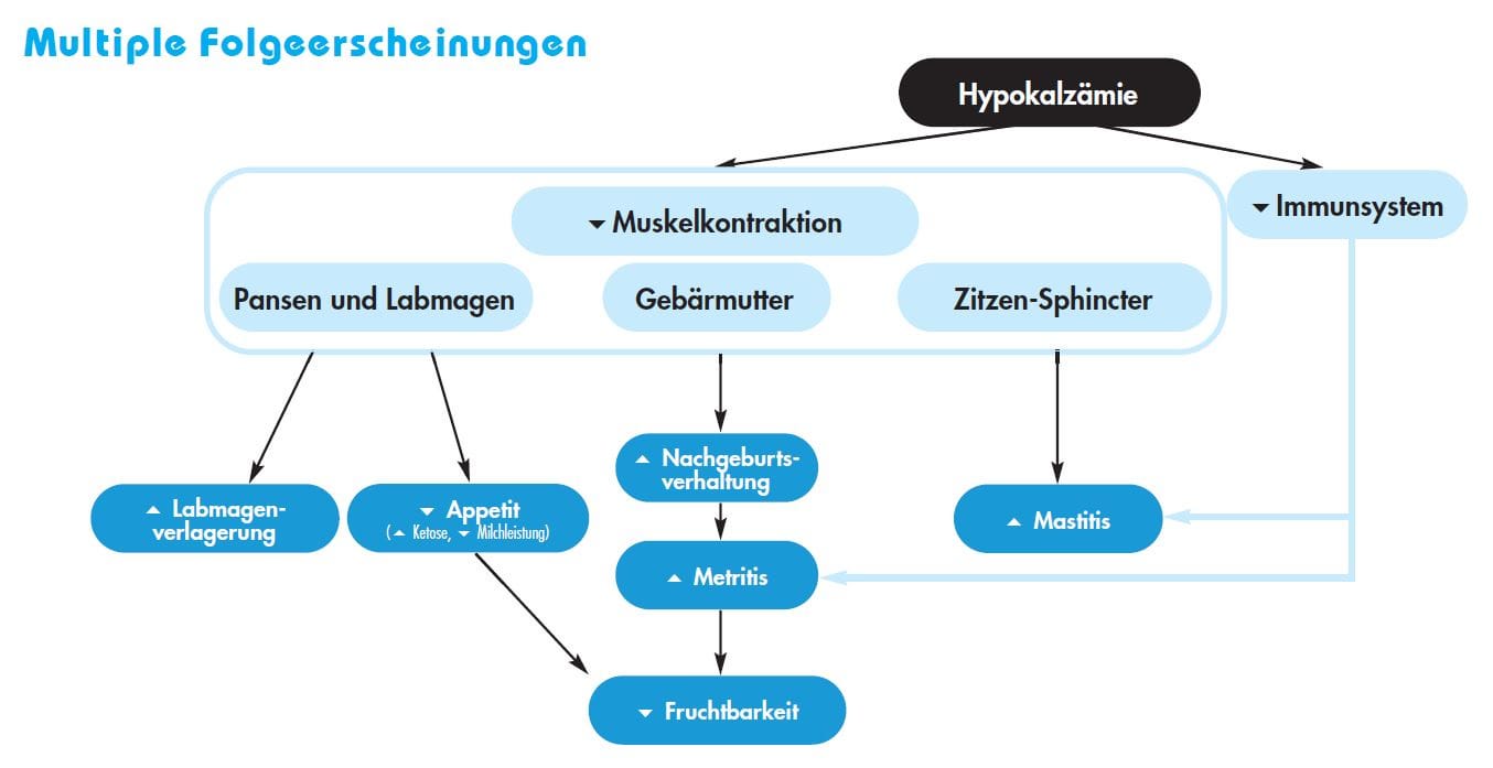 Multiple Folgeerscheinungen der Hypokalzämie