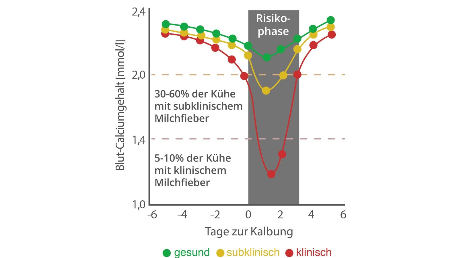 Die Neue Generation Der Milchfieberprophylaxe Ist Da